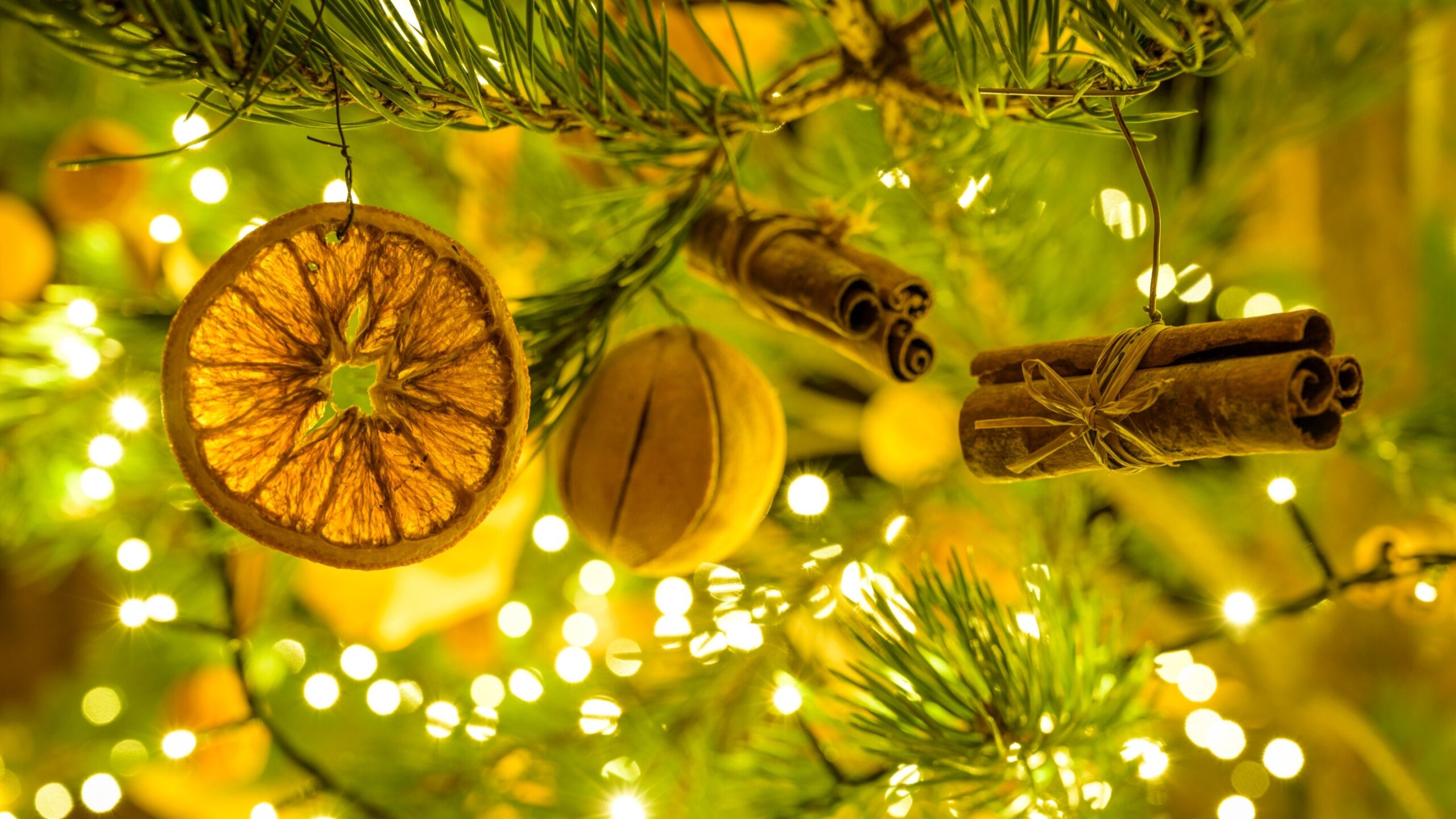 Christmas Holiday Closure